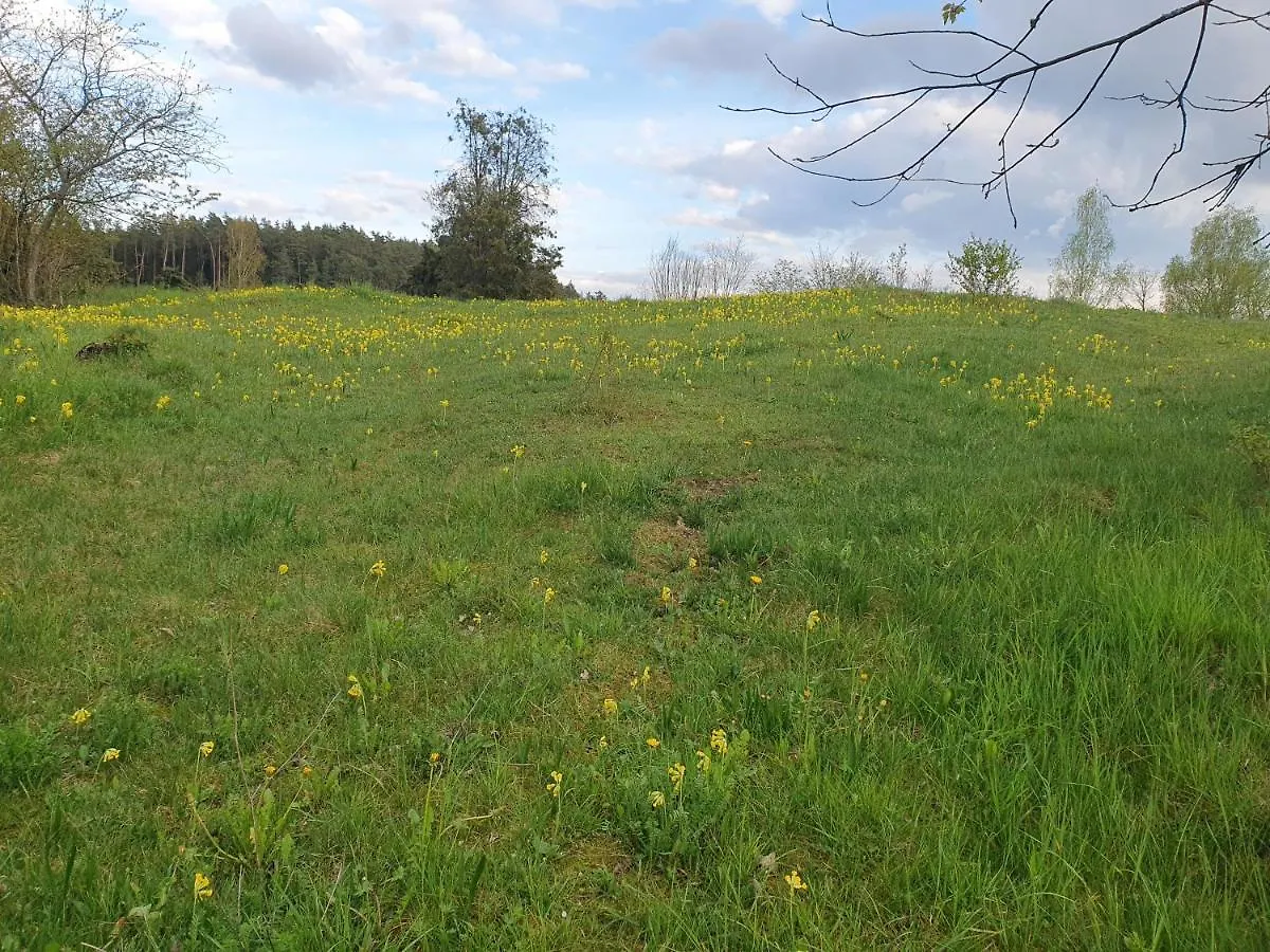 Apartmán Haus Goldfuss Pottenstein Německo